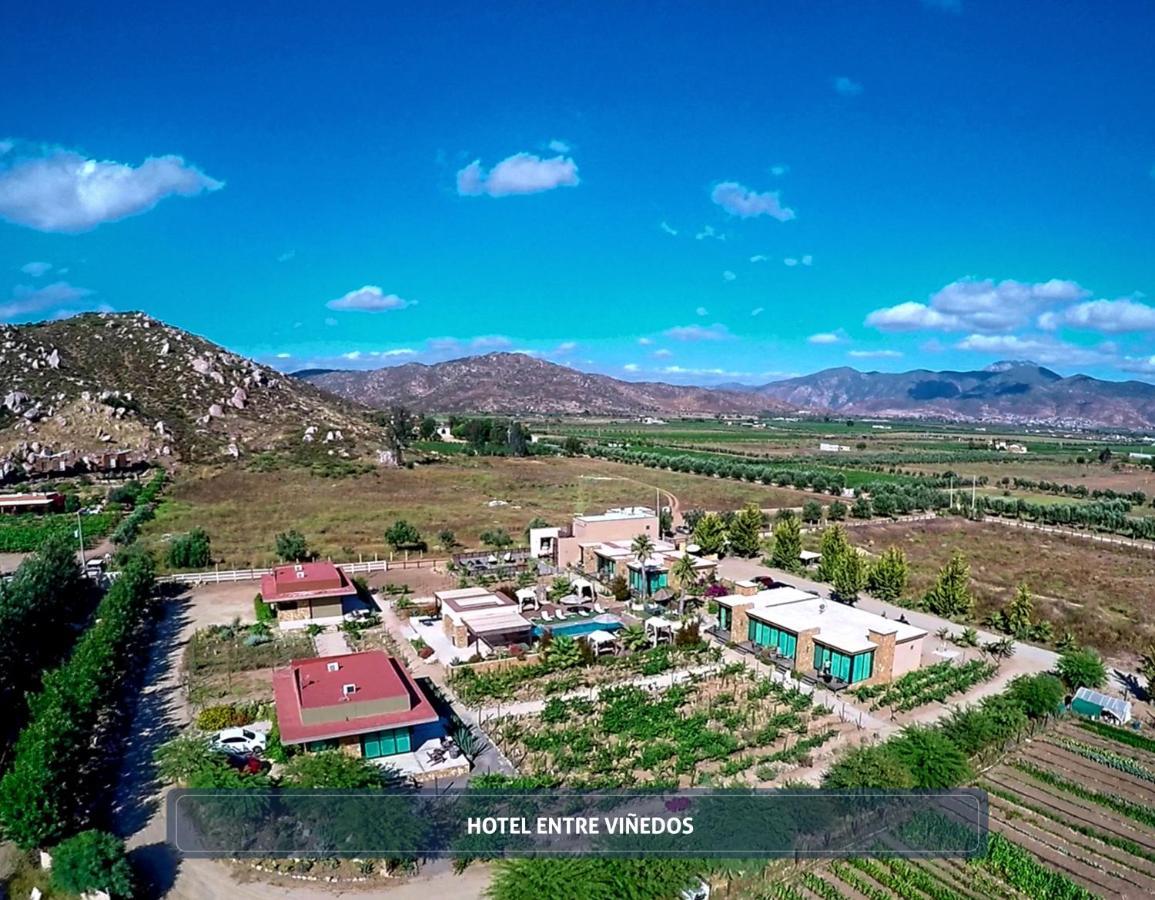 Entre Vinedos By Boutique 3* Valle de Guadalupe