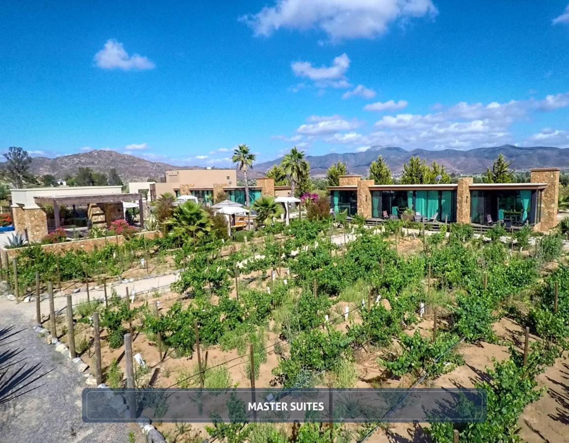 Entre Vinedos By Boutique 3*